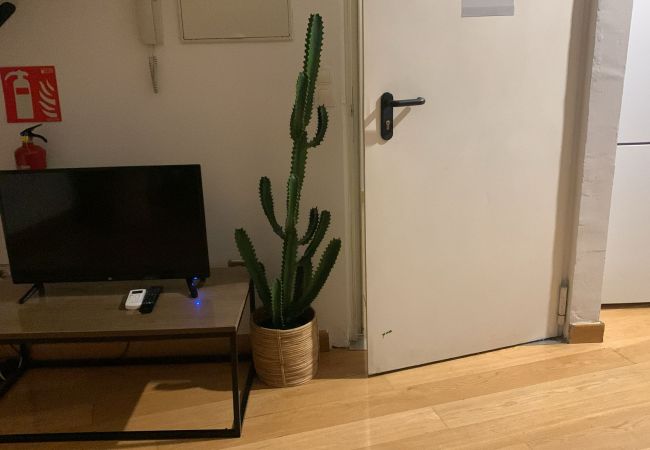 Apartamento en Madrid - Ático Chic en el Centro Histórico de Madrid Apartamento en Madrid - Ático Chic en el Centro Histórico de Madrid