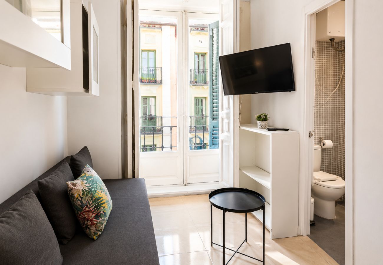 Apartamento en Madrid - Madrid de los Austrias I - Apartamento en el Madrid Histórico