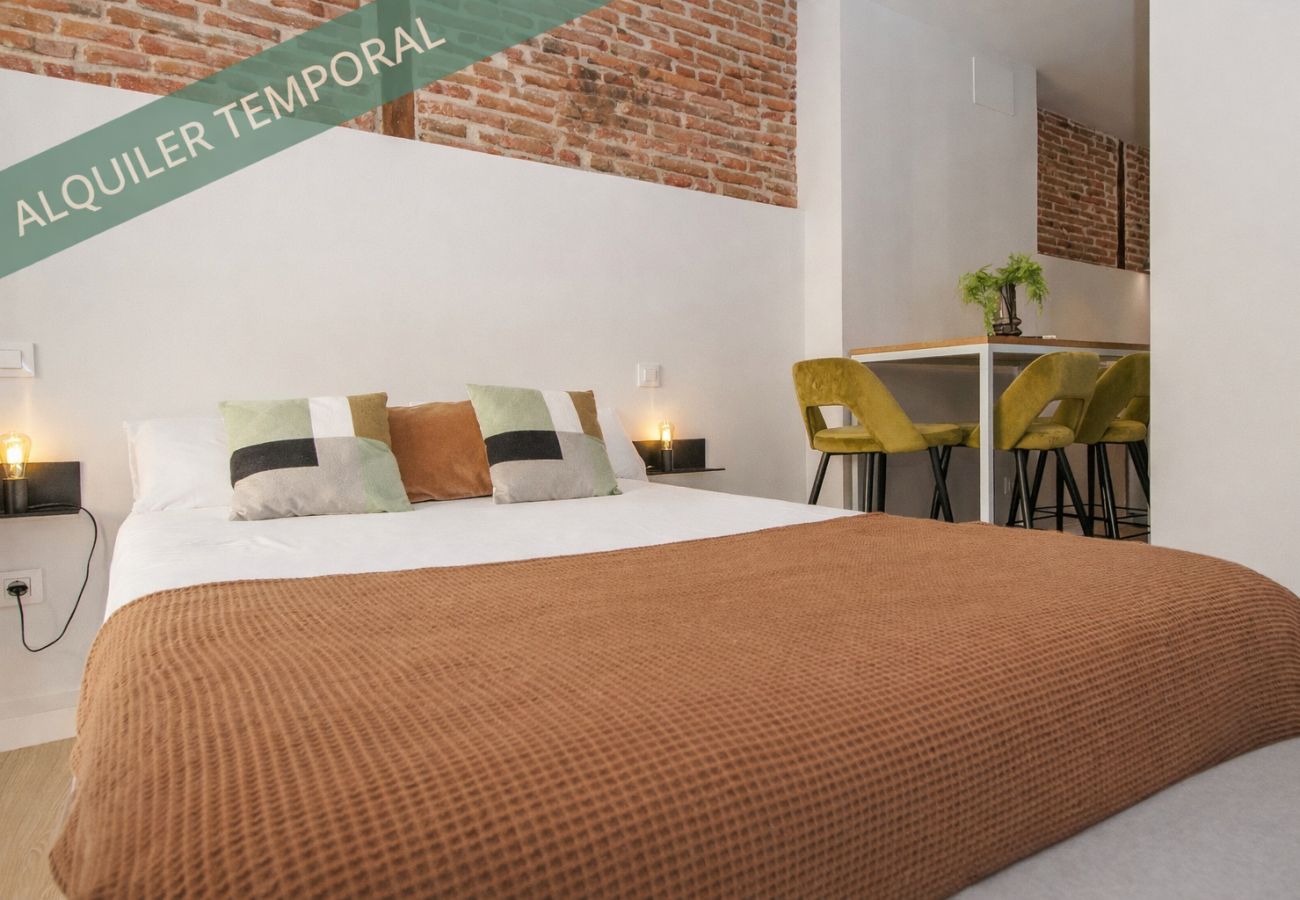 Estudio en Madrid - Collection La Latina - Estudio con terraza en el Barrio de La Latina