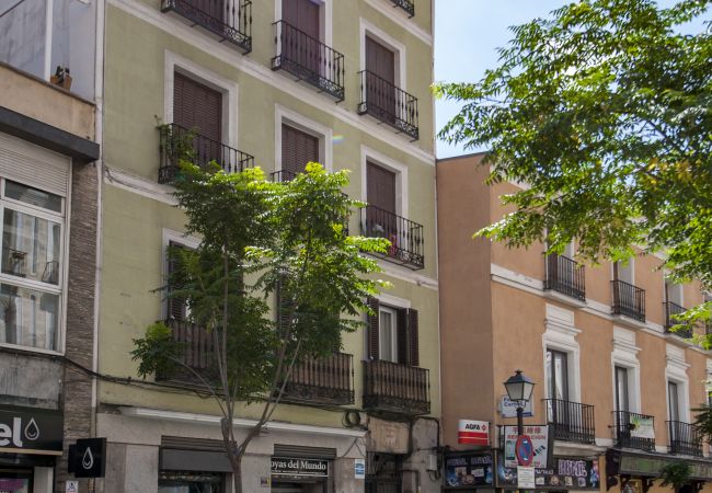 Apartamento en Madrid - La Latina I - Hermoso apartamento de 2 habs. Apartamento en Madrid - La Latina I - Hermoso apartamento de 2 habs.
