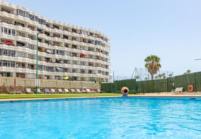 Apartamento en Maspalomas - Alterhome apartamento con piscina en Maspalomas Apartamento en Maspalomas - Alterhome apartamento con piscina en Maspalomas
