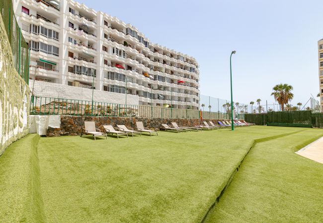 Apartamento en Maspalomas - Alterhome apartamento con piscina en Maspalomas Apartamento en Maspalomas - Alterhome apartamento con piscina en Maspalomas