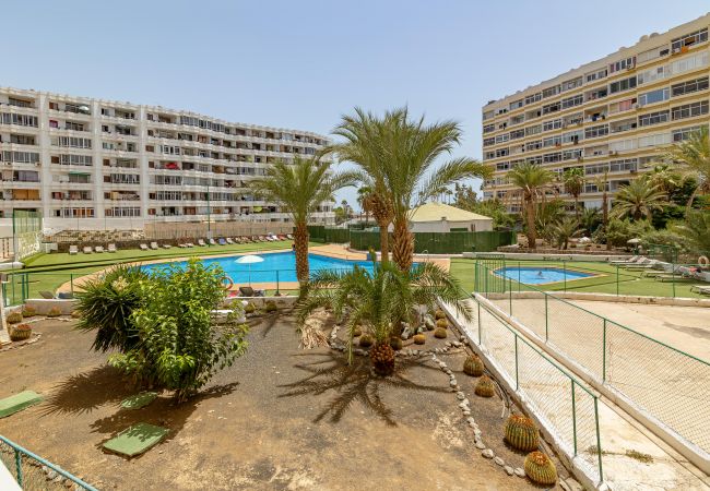 Apartamento en Maspalomas - Alterhome apartamento con piscina en Maspalomas Apartamento en Maspalomas - Alterhome apartamento con piscina en Maspalomas