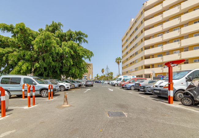 Apartamento en Maspalomas - Alterhome apartamento con piscina en Maspalomas Apartamento en Maspalomas - Alterhome apartamento con piscina en Maspalomas