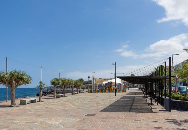 Apartamento en Candelaria - Casa Checha: Encanto y Brisa Marina a un Paso de la Playa Apartamento en Candelaria - Casa Checha: Encanto y Brisa Marina a un Paso de la Playa