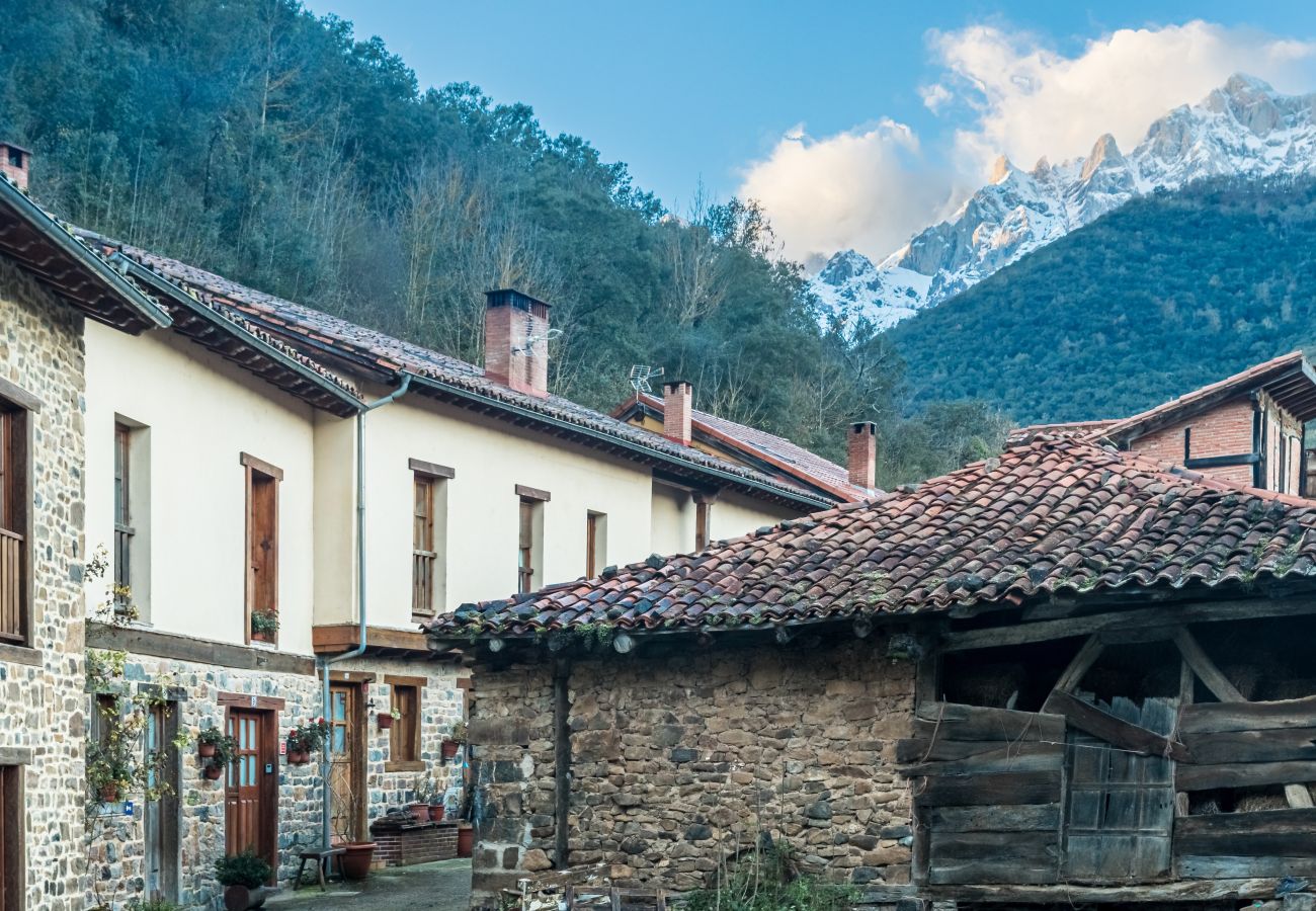 Casa en Camaleño - Casa Soles acogedora en Camaleño con vistas a Picos de Europa