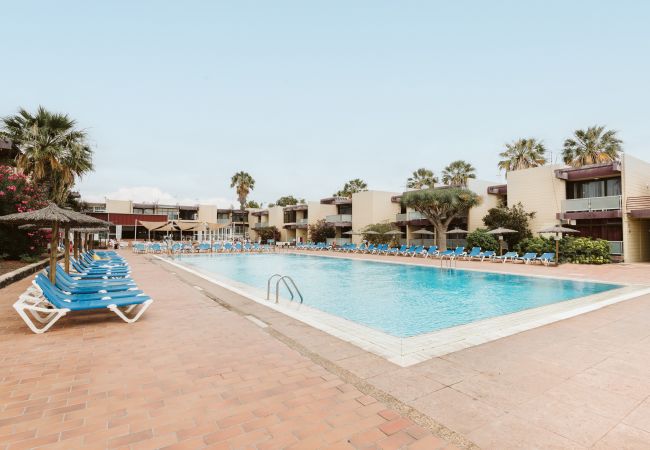 Apartamento en Arona - Costa del Silencio: Terraza privada  y piscina  Apartamento en Arona - Costa del Silencio: Terraza privada  y piscina