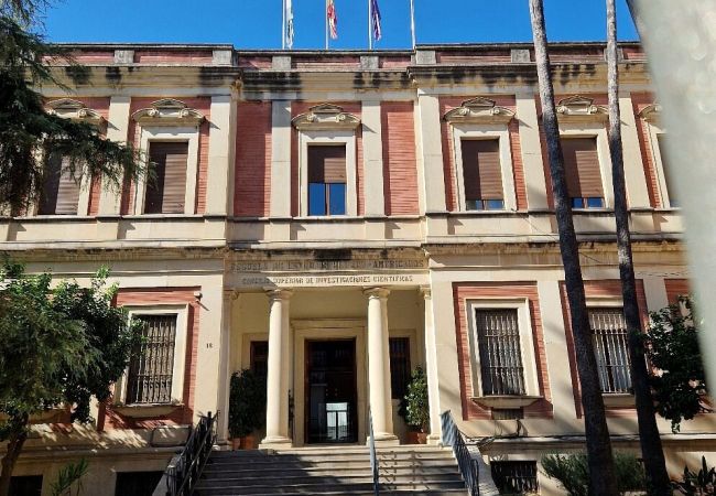 Apartamento en Sevilla - Encanto Sevillano junto al Bellas Artes Apartamento en Sevilla - Encanto Sevillano junto al Bellas Artes