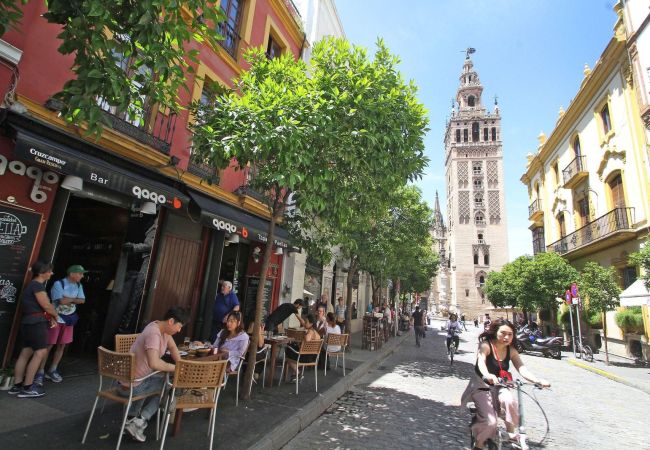 Apartamento en Sevilla - Encanto Sevillano junto al Bellas Artes Apartamento en Sevilla - Encanto Sevillano junto al Bellas Artes