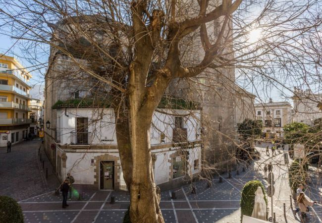 Apartamento en Jerez de la Frontera - Perla I Apartamento en Jerez de la Frontera - Perla I