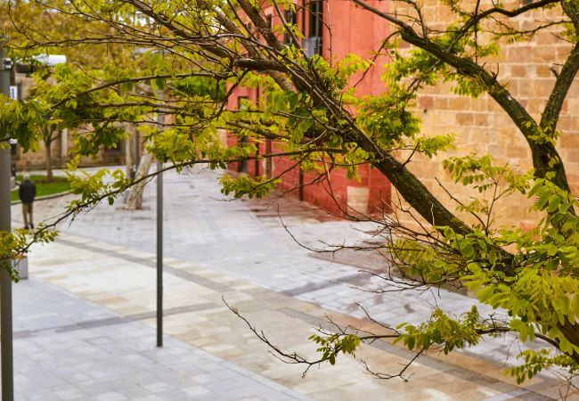 Apartamento en Ávila - Ávila Centro: Tu refugio en Plaza Italia Apartamento en Ávila - Ávila Centro: Tu refugio en Plaza Italia