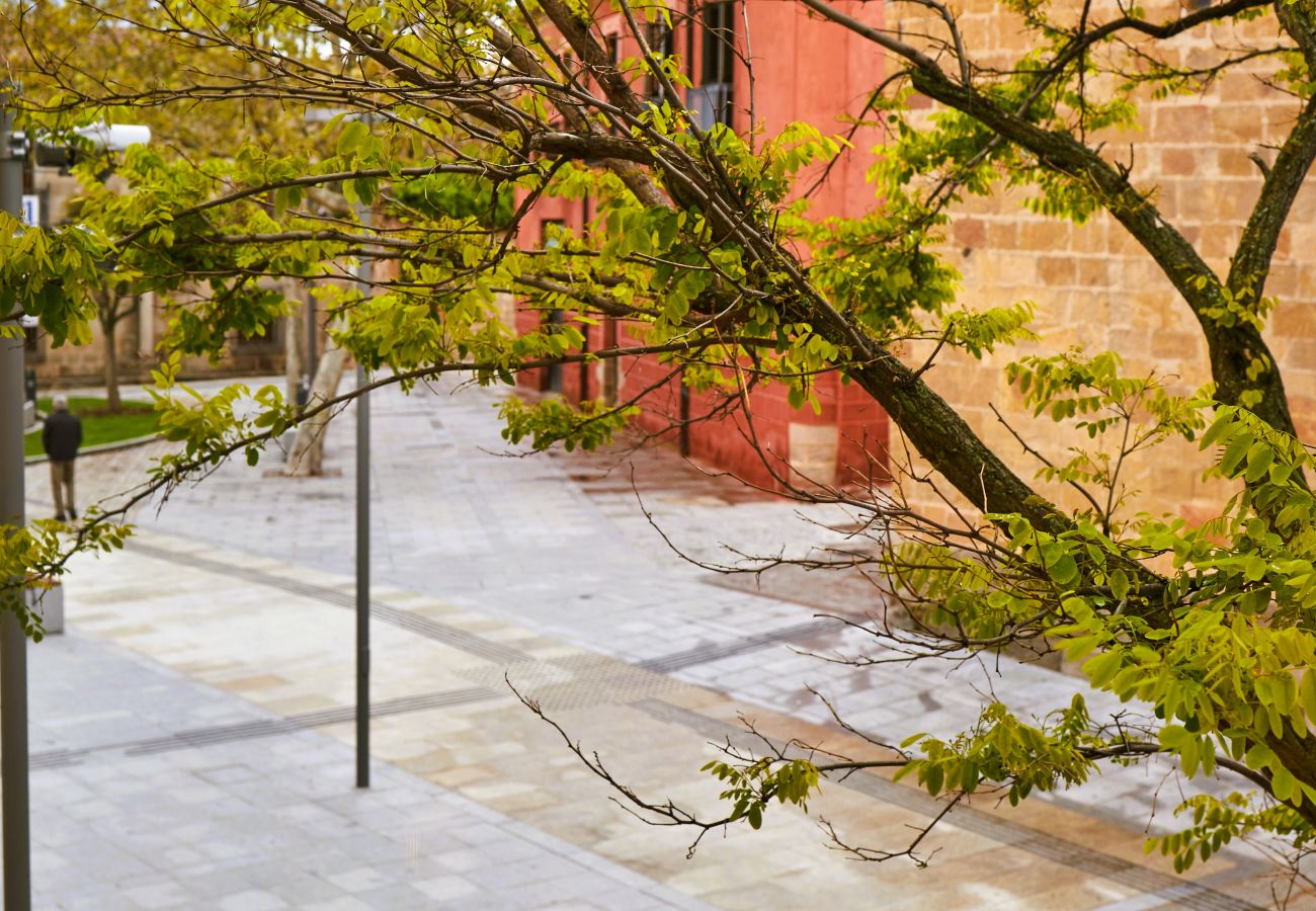 Apartamento en Ávila - Ávila Centro: Tu refugio en Plaza Italia