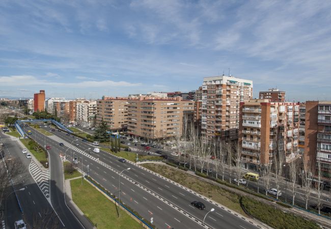 Apartment in Madrid - Exclusive apartment in Paseo de la Castellana 