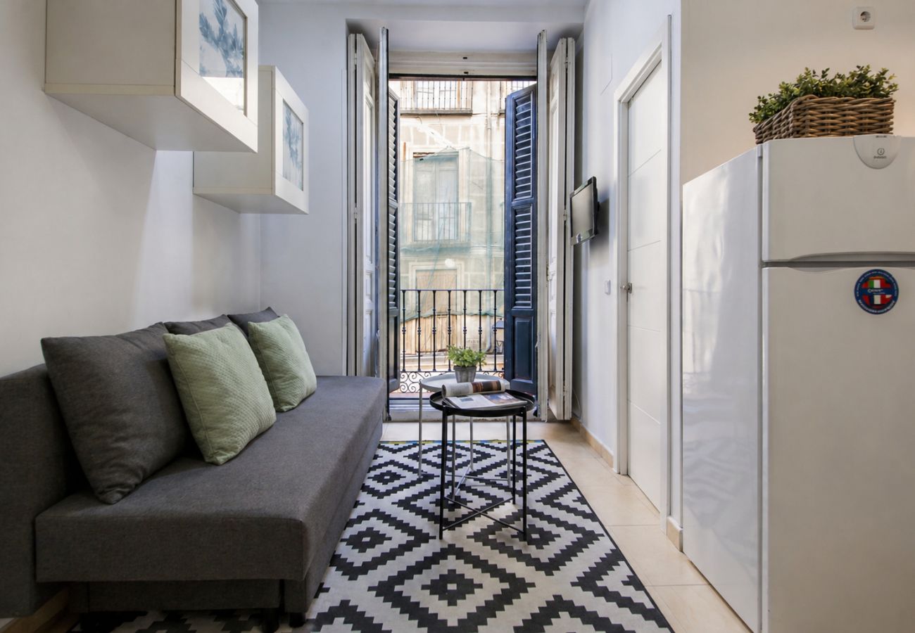 Apartment in Madrid - Madrid de los Austrias I-Apartment in Historical Madrid