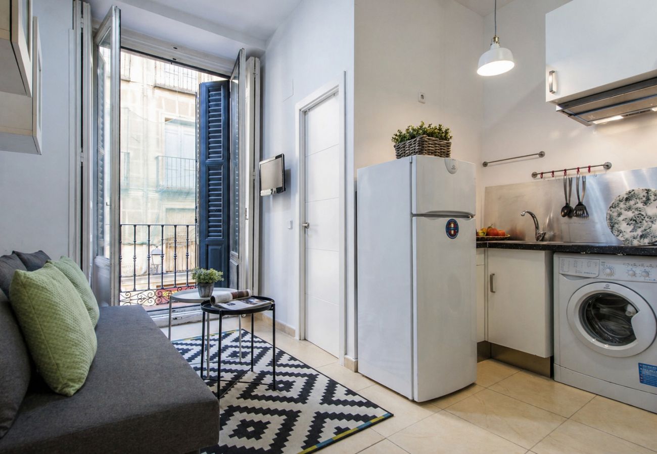 Apartment in Madrid - Madrid de los Austrias I-Apartment in Historical Madrid