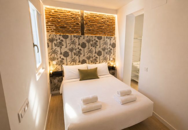 Studio in Madrid - Collection La Latina - Modern studio in La Latina neighbourhood