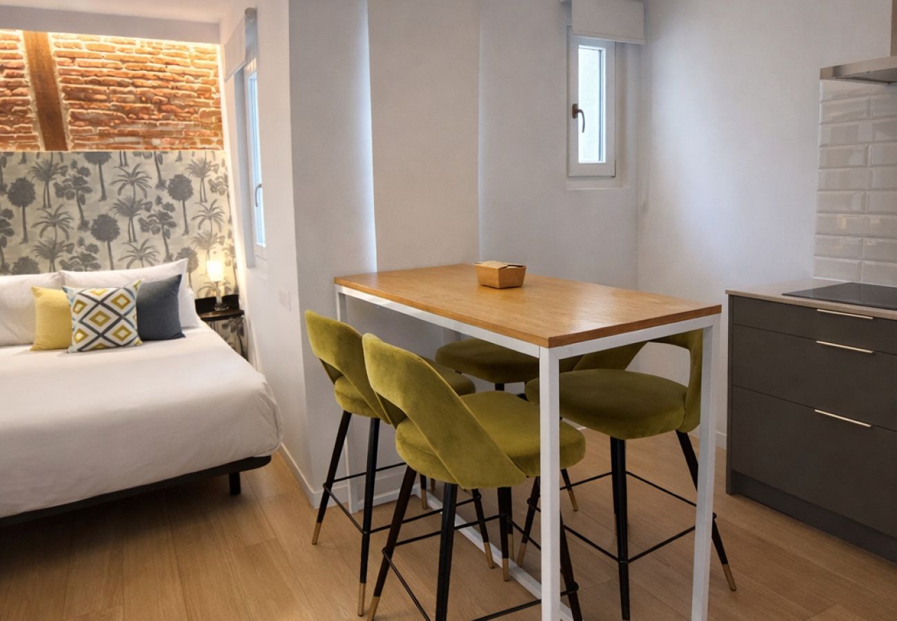 Studio in Madrid - Collection La Latina - Modern studio in La Latina neighbourhood