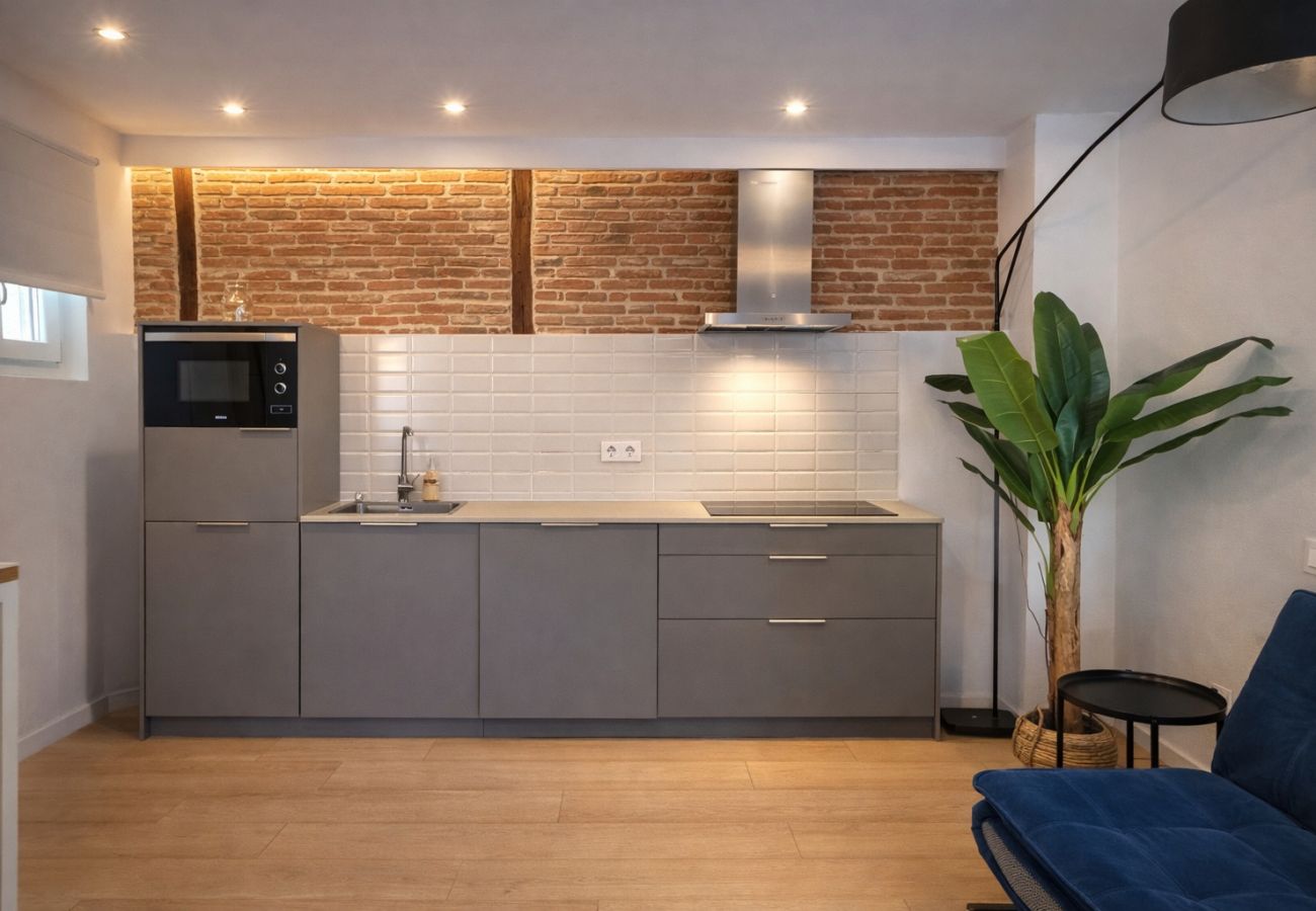 Studio in Madrid - Collection La Latina - Modern studio in La Latina neighbourhood