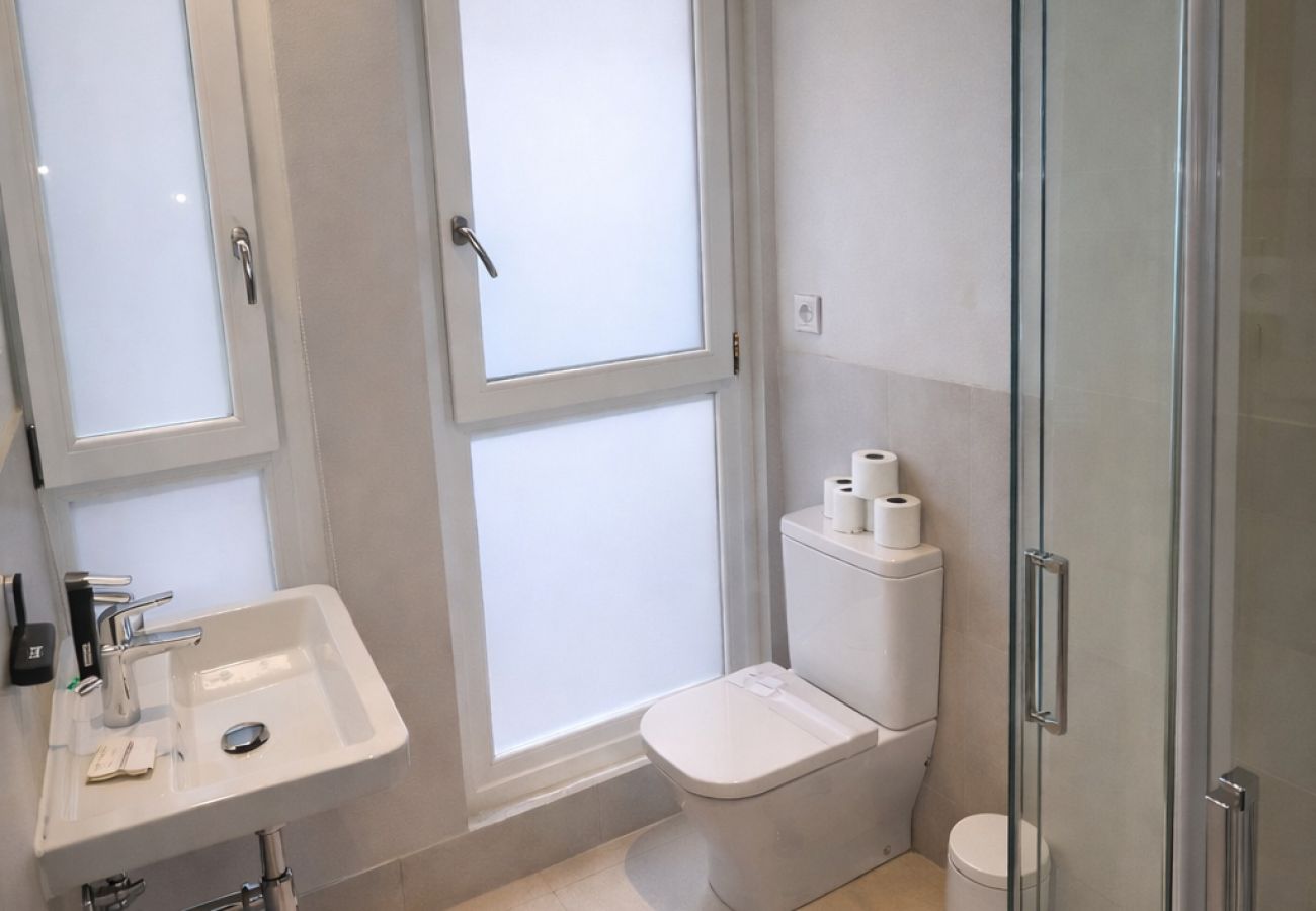 Studio in Madrid - Collection La Latina - Modern studio in La Latina neighbourhood