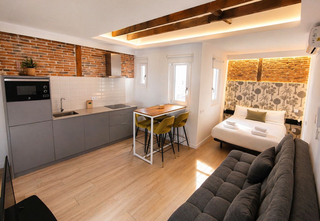 Studio in Madrid - Collection La Latina - Modern studio in La Latina neighbourhood