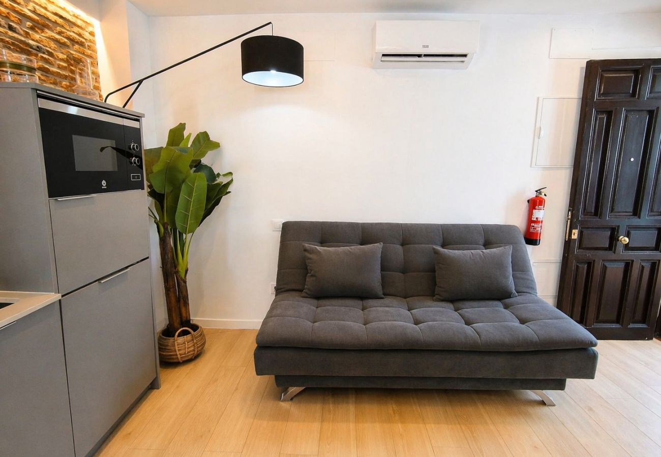 Studio in Madrid - Collection La Latina - Modern studio in La Latina neighbourhood
