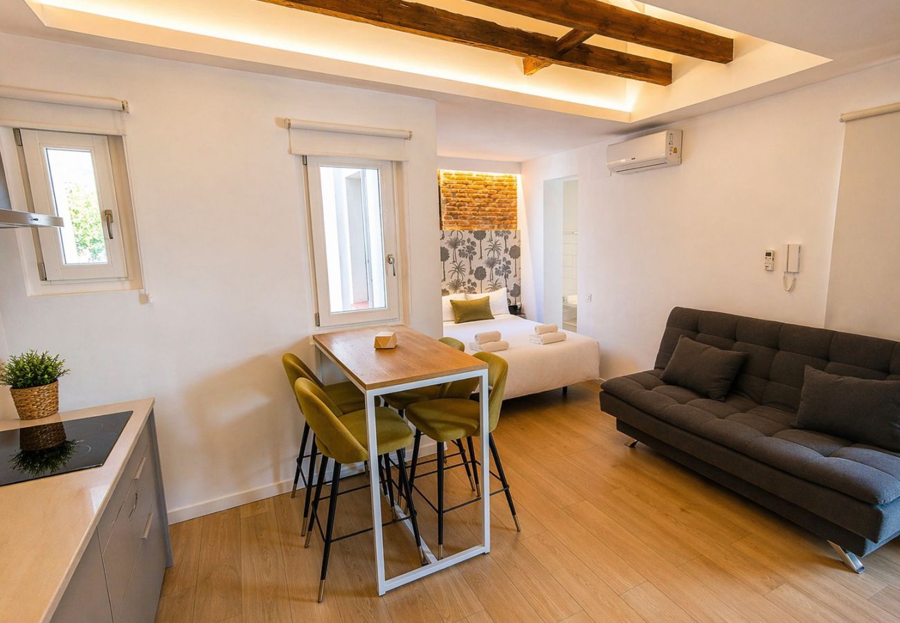 Studio in Madrid - Collection La Latina - Modern studio in La Latina neighbourhood