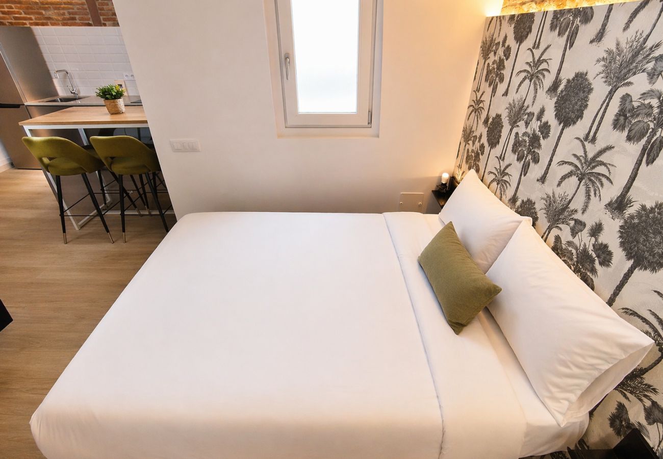 Studio in Madrid - Collection La Latina - Modern studio in La Latina neighbourhood