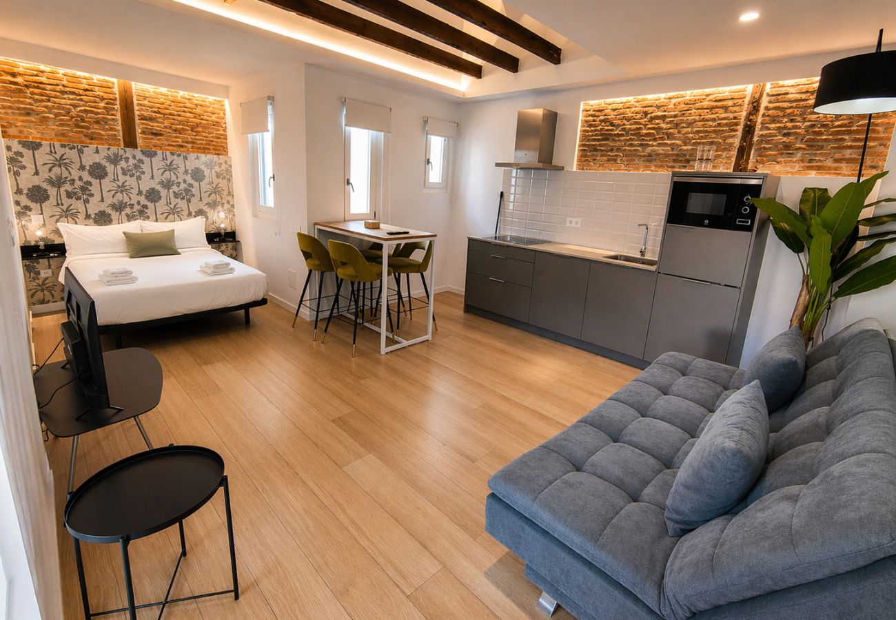 Studio in Madrid - Collection La Latina - Modern studio in La Latina neighbourhood