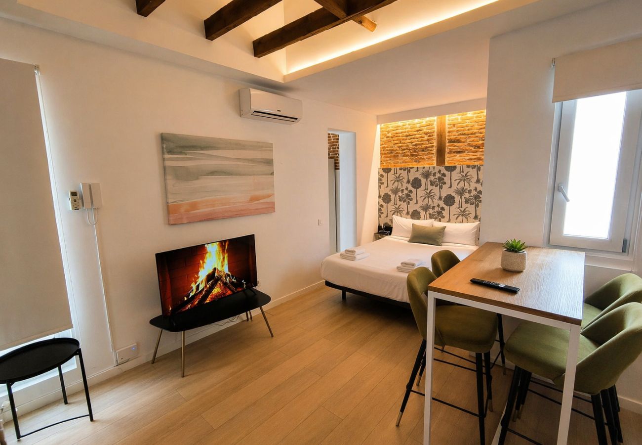 Studio in Madrid - Collection La Latina - Modern studio in La Latina neighbourhood