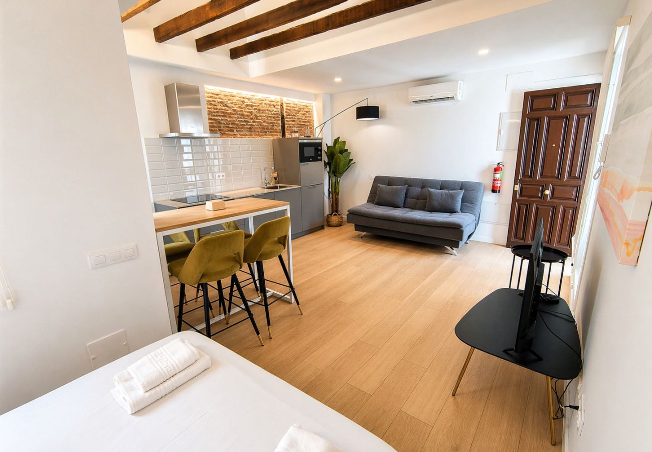 Studio in Madrid - Collection La Latina - Modern studio in La Latina neighbourhood