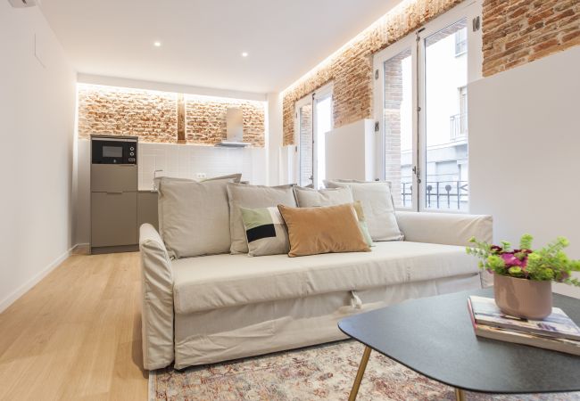 Apartment in Madrid - Collection La Latina - Apartamento con balcón ubicado en La Latina Apartment in Madrid - Collection La Latina - Apartamento con balcón ubicado en La Latina