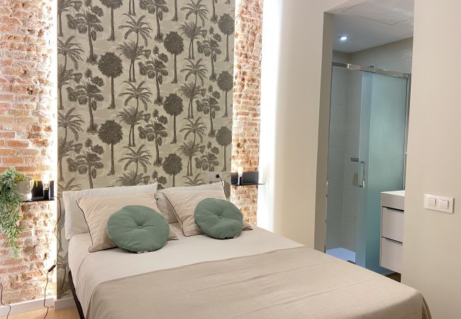 Apartment in Madrid - Collection La Latina - Apartamento con balcón ubicado en La Latina Apartment in Madrid - Collection La Latina - Apartamento con balcón ubicado en La Latina