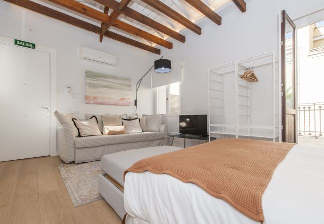 Studio in Madrid - Collection La Latina - Studio with terrace in La Latina neighbourhood Studio in Madrid - Collection La Latina - Studio with terrace in La Latina neighbourhood