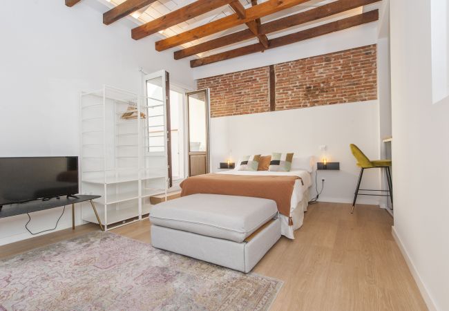 Studio in Madrid - Collection La Latina - Studio with terrace in La Latina neighbourhood Studio in Madrid - Collection La Latina - Studio with terrace in La Latina neighbourhood