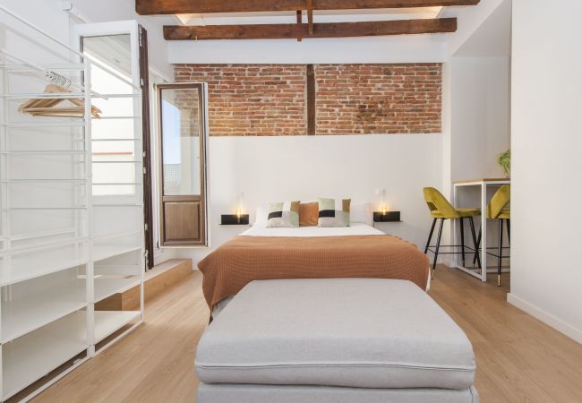 Studio in Madrid - Collection La Latina - Studio with terrace in La Latina neighbourhood Studio in Madrid - Collection La Latina - Studio with terrace in La Latina neighbourhood
