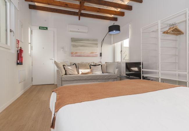 Studio in Madrid - Collection La Latina - Studio with terrace in La Latina neighbourhood Studio in Madrid - Collection La Latina - Studio with terrace in La Latina neighbourhood