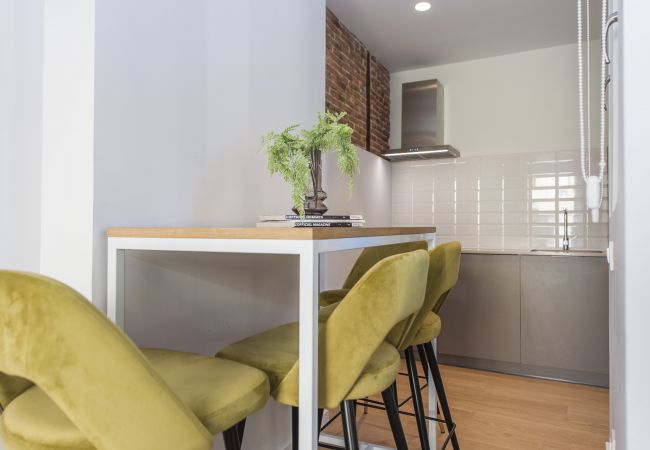 Studio in Madrid - Collection La Latina - Studio with terrace in La Latina neighbourhood Studio in Madrid - Collection La Latina - Studio with terrace in La Latina neighbourhood