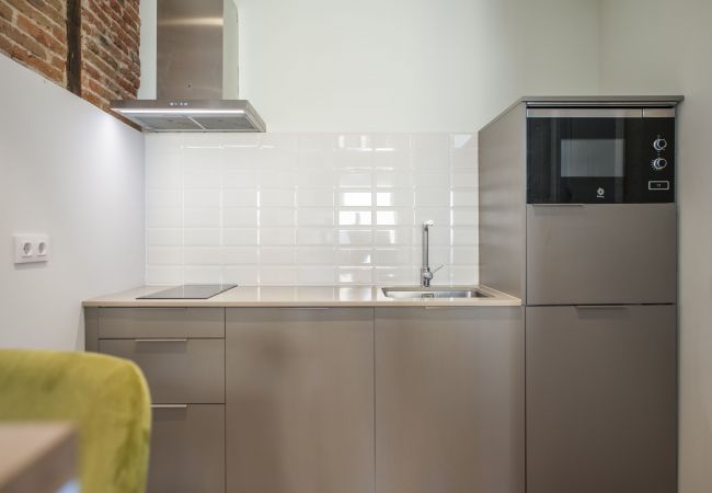 Studio in Madrid - Collection La Latina - Studio with terrace in La Latina neighbourhood Studio in Madrid - Collection La Latina - Studio with terrace in La Latina neighbourhood