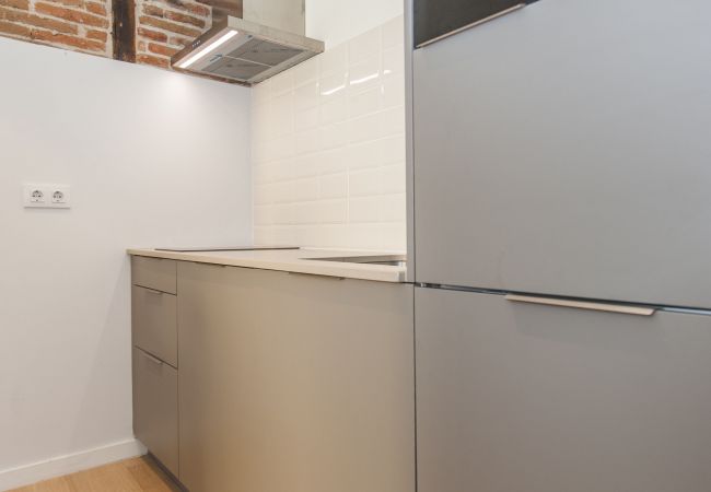 Studio in Madrid - Collection La Latina - Studio with terrace in La Latina neighbourhood Studio in Madrid - Collection La Latina - Studio with terrace in La Latina neighbourhood