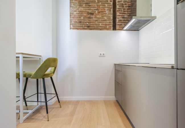 Studio in Madrid - Collection La Latina - Studio with terrace in La Latina neighbourhood Studio in Madrid - Collection La Latina - Studio with terrace in La Latina neighbourhood