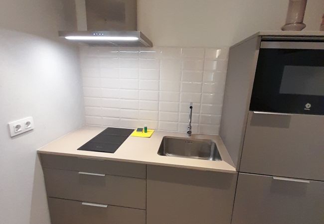 Studio in Madrid - Collection La Latina - Studio with terrace in La Latina neighbourhood Studio in Madrid - Collection La Latina - Studio with terrace in La Latina neighbourhood