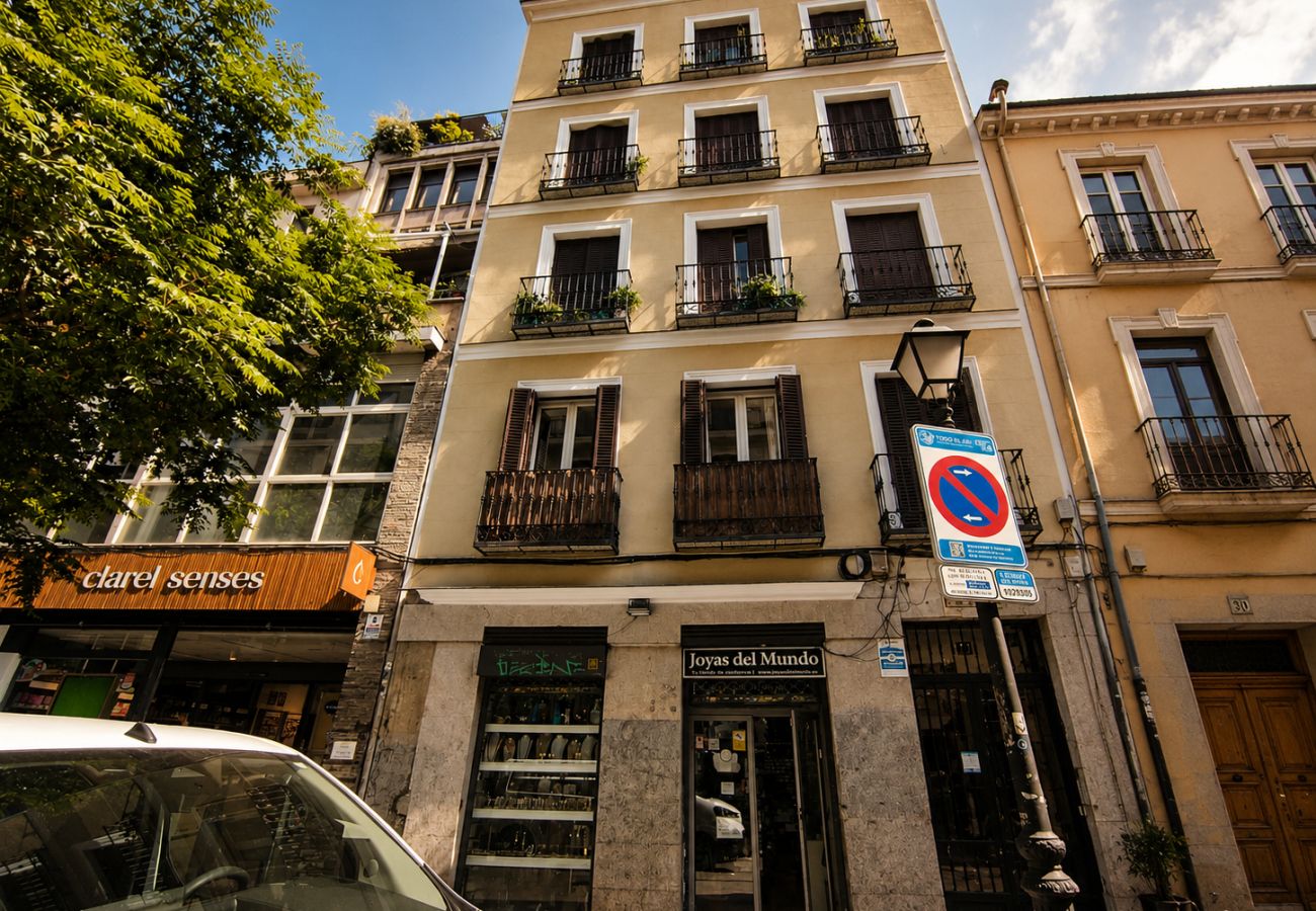 Apartment in Madrid - La Latina I - Beautiful 2 rooms apartment.