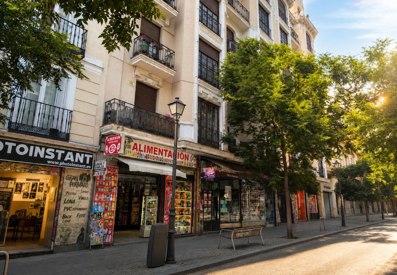 Apartment in Madrid - La Latina I - Beautiful 2 rooms apartment.