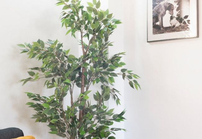 Apartment in Sevilla - Urban Retreat Near Las Setas Apartment in Sevilla - Urban Retreat Near Las Setas