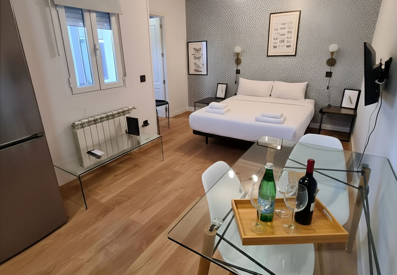 Studio in Madrid - C Madrid Río Estudio Interior