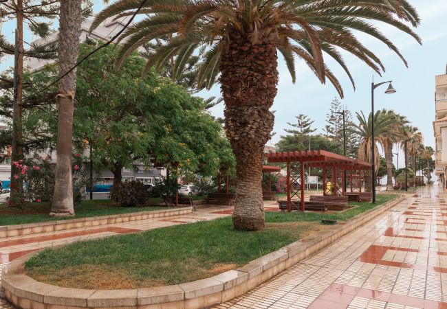 Apartment in Arona - Viña Vieja just steps away from the Beach Apartment in Arona - Viña Vieja just steps away from the Beach