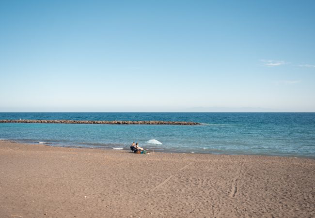 Apartment in Güimar - Family Relax: Terrace & Pool in Güímar Apartment in Güimar - Family Relax: Terrace & Pool in Güímar