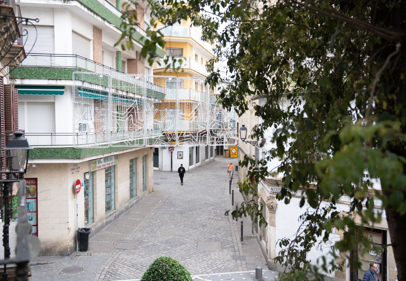 Apartment in Jerez de la Frontera - La Perla