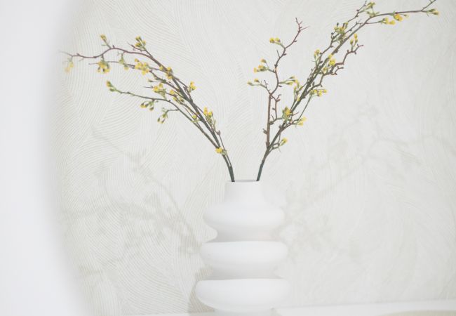 Apartment in San Cristobal de La Laguna - Chic Retreat with Natural Light in La Laguna Apartment in San Cristobal de La Laguna - Chic Retreat with Natural Light in La Laguna