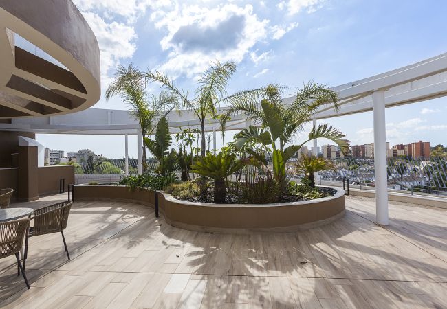 Apartment in Jerez de la Frontera - Atardeceres desde el Cielo: Sky Garden Apartment in Jerez de la Frontera - Atardeceres desde el Cielo: Sky Garden
